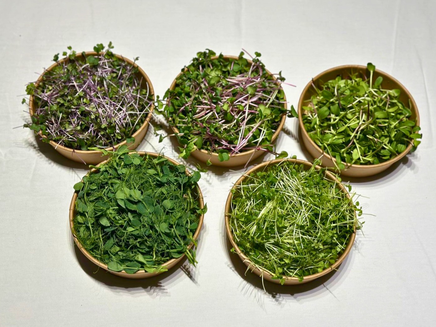 Základní baliček microgreens